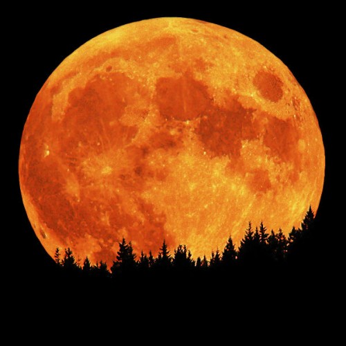 Full Moon taken by David Haworth full_moon