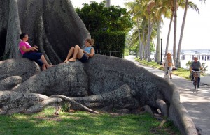 Melody and Siena play music near Flagler Museum