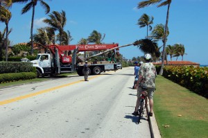 Truck with palm tree on it backs onto A1A in Palm Beach