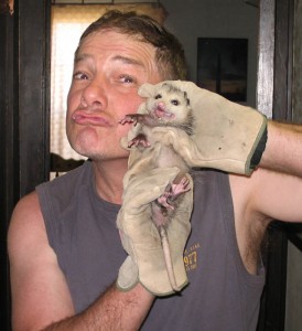 John Perry holding unhappypossum