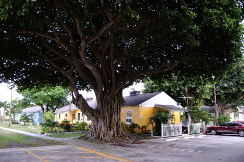 Southridge Public Housing in West Palm Beach FL