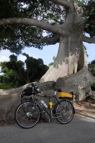 Surly Long Haul Trucker with some rain covers deployed