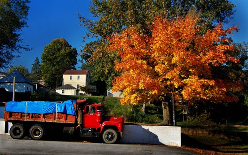 Fall leaves along Broadway in Cape Girardeau, MO
