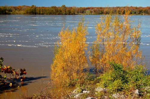 View of Mississippi River at flood from Thebes, IL, scenic overlook